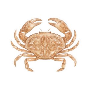 Krabbichen Sticker