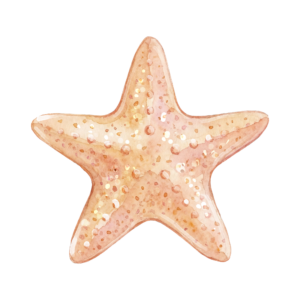 Seesternchen Sticker